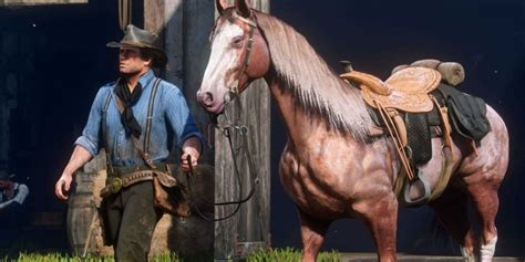 Red dead redemption 2 horses - alernasover