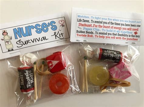 The Ultimate New Nurse Survival Kit [36 Ideas For The RN Survival ...