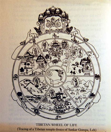 Wheel Of Life Buddhism