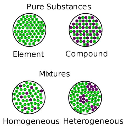 Difference Between Homogeneous and Heterogeneous Equilibrium | Compare the Difference Between ...