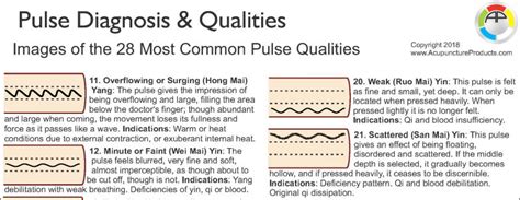 Pulse Diagnosis Acupuncture Chart