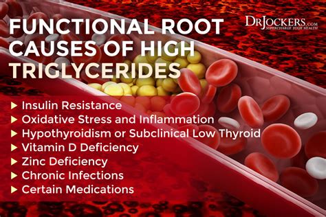 High Triglycerides: Root Causes and Natural Support Strategies