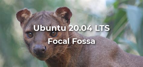 Ubuntu Release 20.04 LTS Focal Fossa - All You Need to Know (Updated)