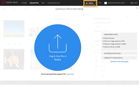 Use the Contributor portal on Adobe Stock | Adobe Learn & Support tutorials