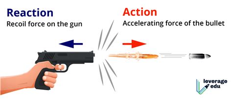 Laws of Motion Class 11: Notes and Questions - Leverage Edu