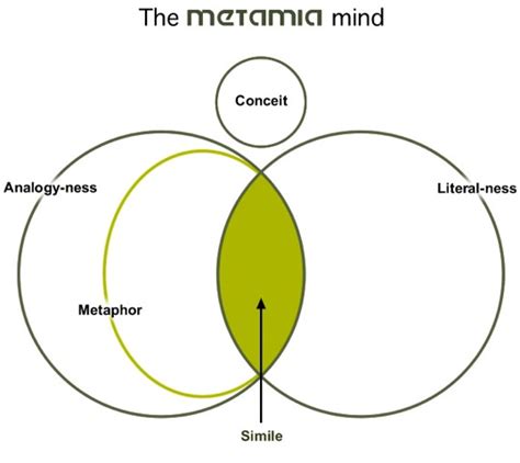 Analogy vs Metaphor vs Conceit vs. Simile | Defined Contrasted