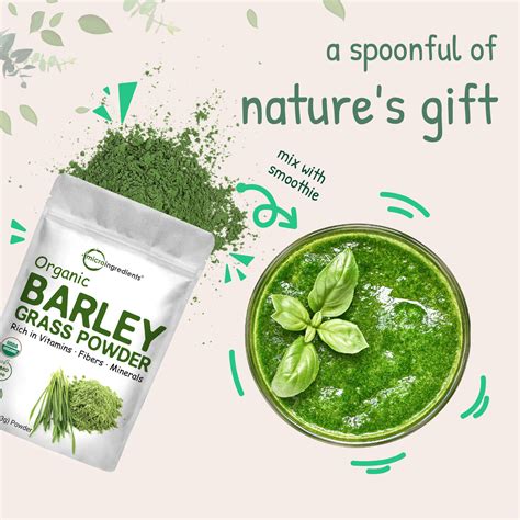 Premium Barley Green Powder - Organic Barley Grass – Micro Ingredients