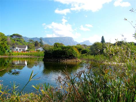 Die Oog - Conservation Wetland & Natural Spring