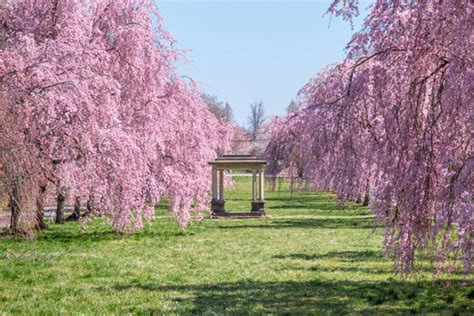 "Fairmount Park" Images – Browse 202 Stock Photos, Vectors, and Video | Adobe Stock