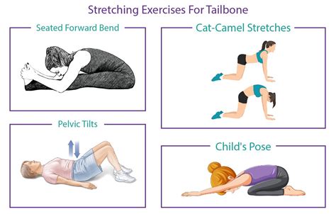 What is Tailbone Pain? Causes and Exercises to Provide Comfort