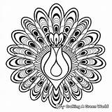 Peacock Mandala Coloring Pages  Free & Printable sketch template