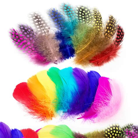 Rainbow Colours Craft Feathers | ubicaciondepersonas.cdmx.gob.mx