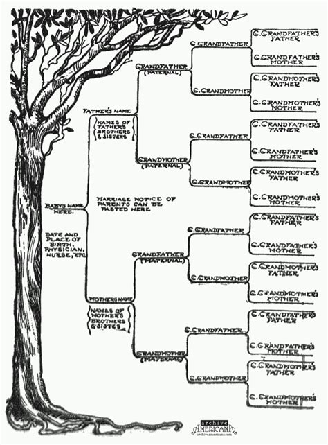 free family tree template printable foe word | family tree template printable winter league ...