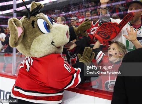 Carolina Hurricanes Mascot Photos and Premium High Res Pictures - Getty ...