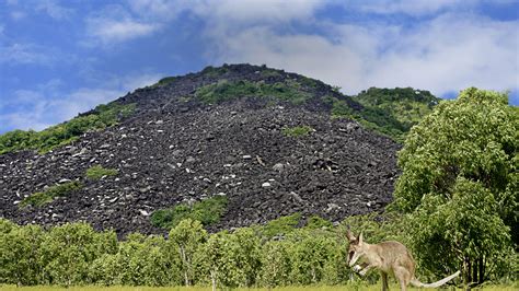 Black Mountain (Kalkajaka) National Park