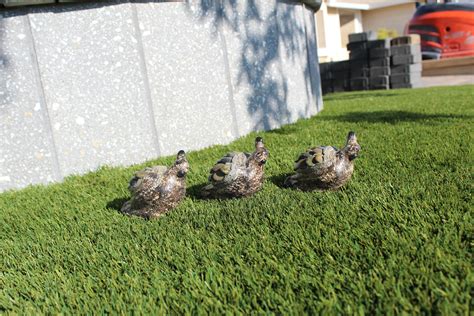 Cement Quail Garden,concrete Baby Quails,set of Baby Quails,quails ...