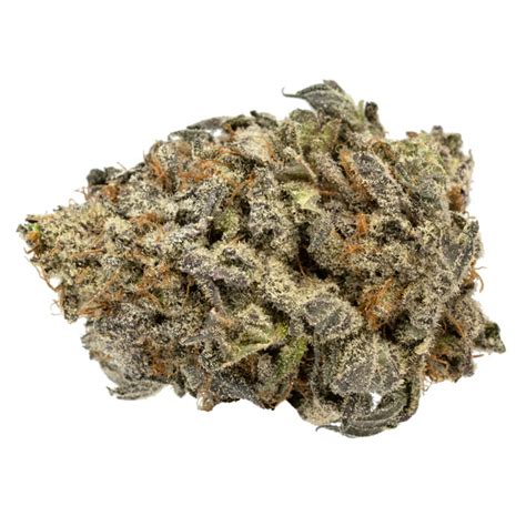 Purple Urkle Strain | Weed-Deals