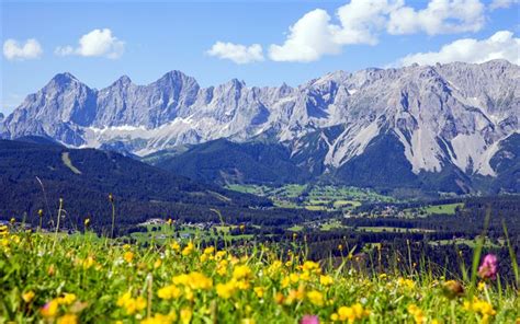 Download wallpapers Austria, 4k, alpine meadows, mountains, Austrian ...