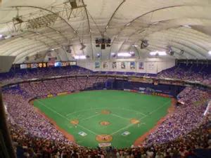 Hubert H. Humphrey Metrodome | Sports Team History