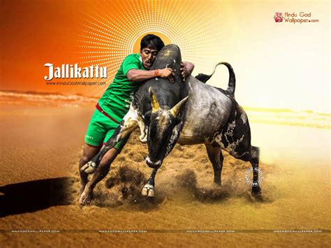 Jallikattu Wallpapers - Wallpaper Cave