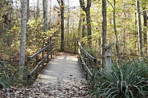 A Bridge Hike In Alabama Along The Madison County Nature Trail