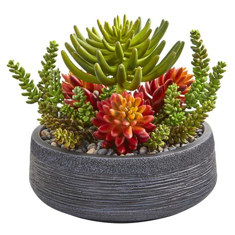 Nearly Natural 12? Succulent Garden Artificial Plant in Bowl - Walmart.com - Walmart.com