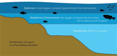 Lake and Pond Stratification: What, When, Why and How?