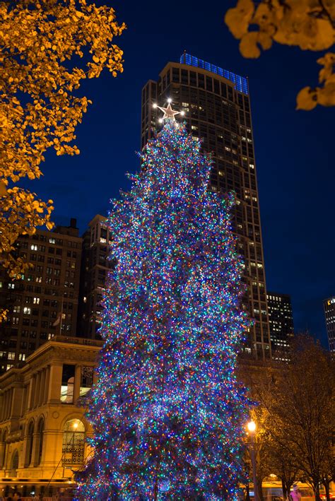 Millennium Park Christmas Tree | Powering Chicago