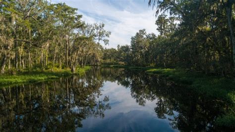 15 Best Things to Do in Clermont (FL) - The Crazy Tourist