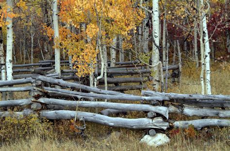 DIY Stand-Alone Log Fence