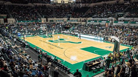 USF Women's Basketball breaks attendance record - That's So Tampa