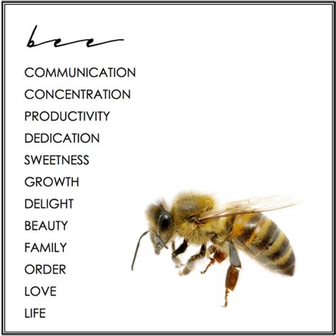 Bee symbolism meaning – Artofit