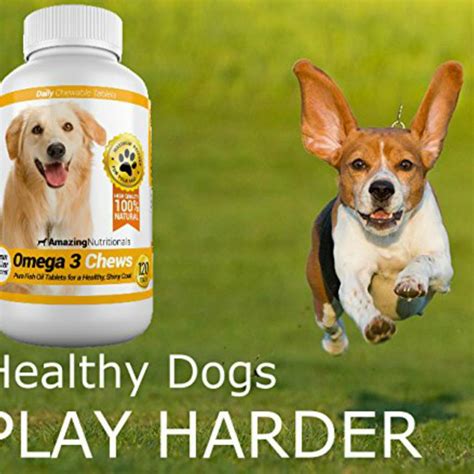 Omega 3 for Dogs - Amazing Nutritionals