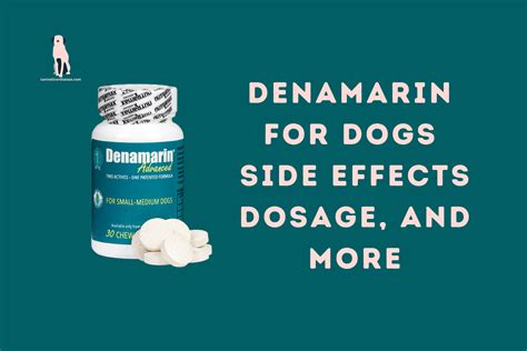 Denamarin For Dogs Side Effects Dosage, and More - Canine Liver Disease ...