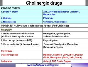 Examples Of Cholinergic Drugs