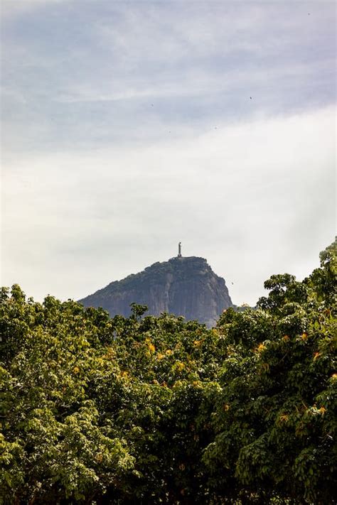 Forest and Hill with Christ the Redeemer behind · Free Stock Photo