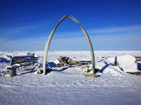 Underwater Photographer Gregory Poulin's Gallery: Arctic Ocean: Whale Bone Arch - DivePhotoGuide.com