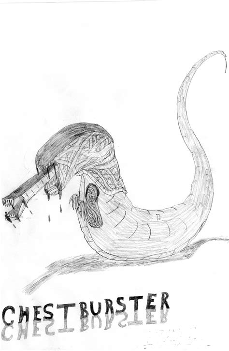 Chestburster Drawing by TopsyTriceratops on DeviantArt