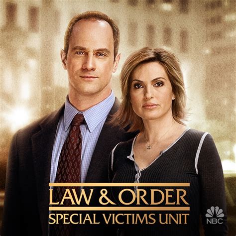 Law & Order: SVU (Special Victims Unit), Season 8 wiki, synopsis, reviews - Movies Rankings!