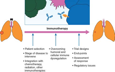 Why has active immunotherapy not worked in lung cancer? - Annals of Oncology