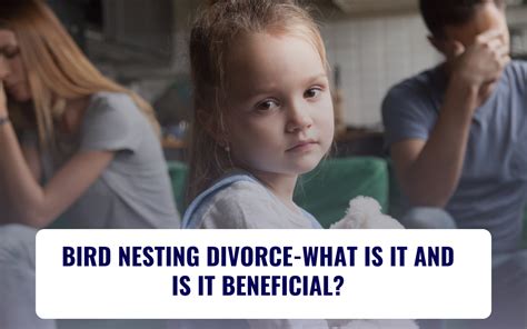 BIRD NESTING DIVORCE-WHAT IS IT AND IS IT BENEFICIAL? | Shulman Family ...