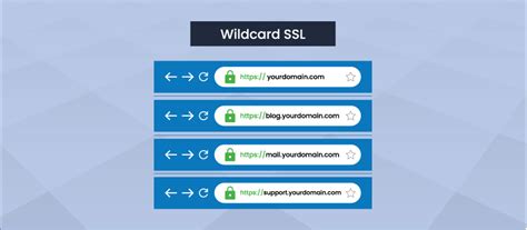 Top Benefits of Using a Wildcard SSL Certificate | Ziddu