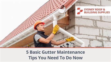 5 Basic Gutter Maintenance Tips You Need To Do Now