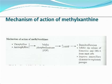 Drugs for bronchial asthma antitussives expectorants mucolytic agents