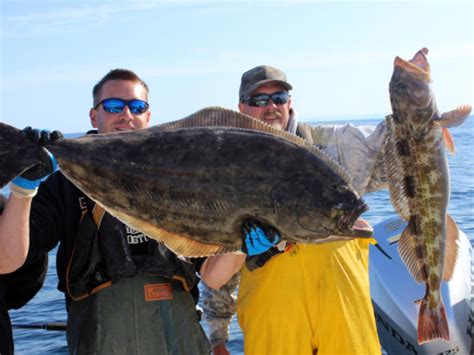 Long Range Westport Halibut Fishing