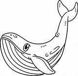Blue Whale Isolated Coloring Page For Kids 10789491 Vector Art At Vecteezy sketch template