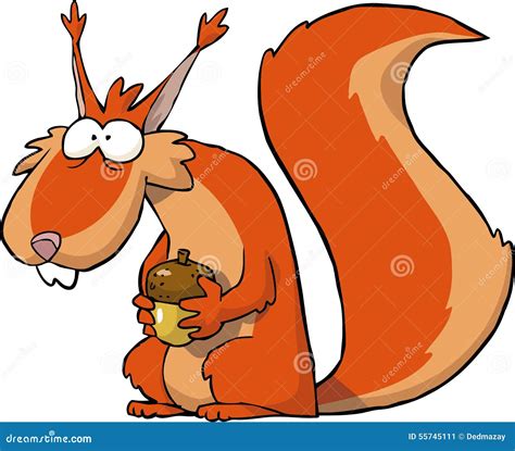 Squirrel with acorns stock vector. Illustration of scurry - 55745111