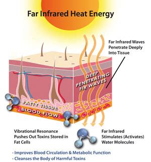 The Future Will be Filled with Sweat and Oxygen! Ozone Infrared Sauna Therapy and It’s Amazing ...