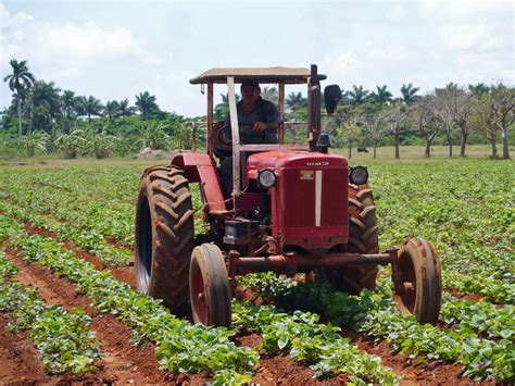 Cuban intensifies call to US to help feed the Cuban people | 2022-04-12 | Agri-Pulse ...