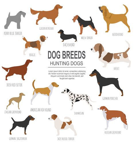 Hunting Dog Breeds Images